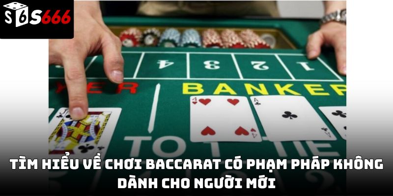Chơi baccarat có phạm pháp không S666 – Giải đáp chi tiết