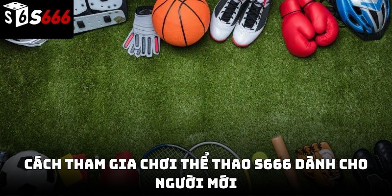 thể thao s666